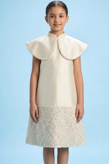 صورة فستان سهرة سكري بنهايات في الفساتن لماعه